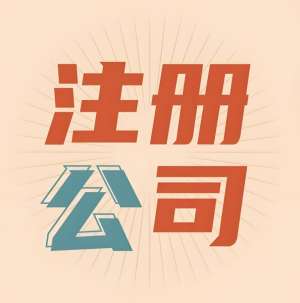 芜湖公司注册的标准是什么？
